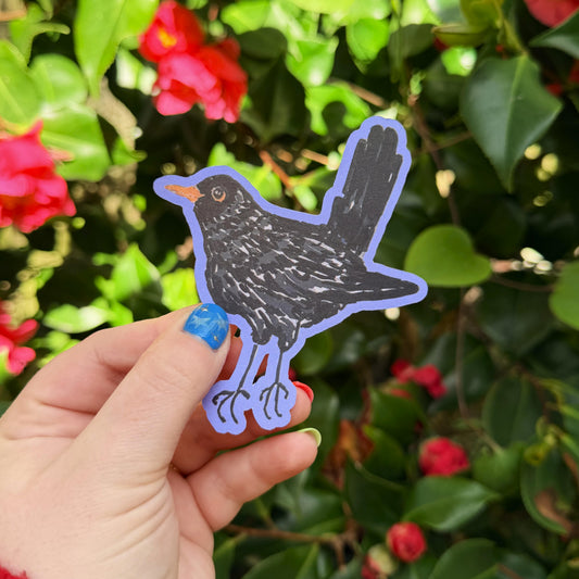 blackbird sticker