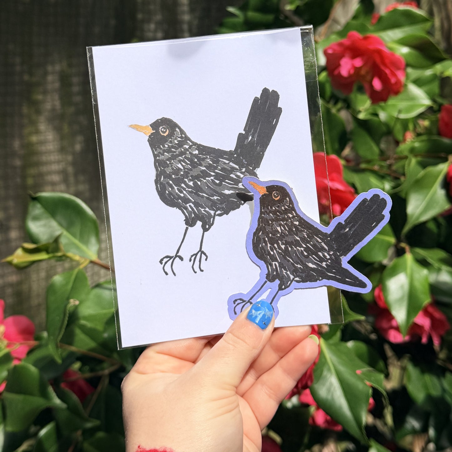 blackbird sticker